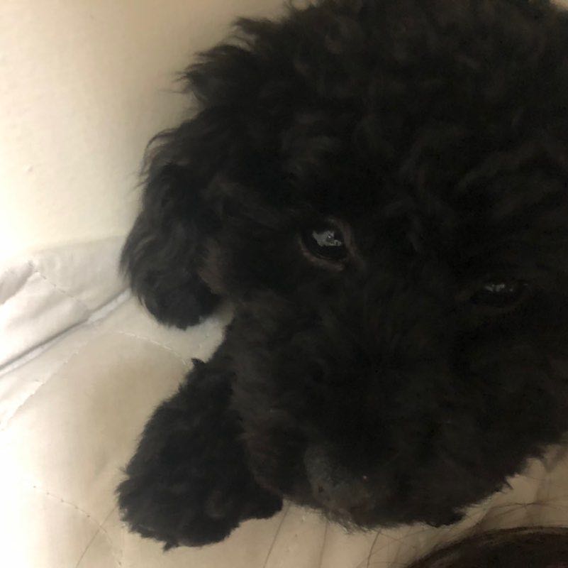 婕丶璇丶維 post 2