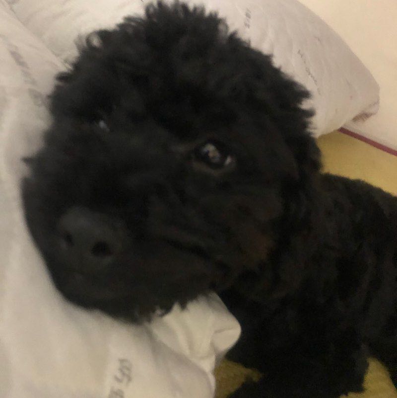 婕丶璇丶維 post 1