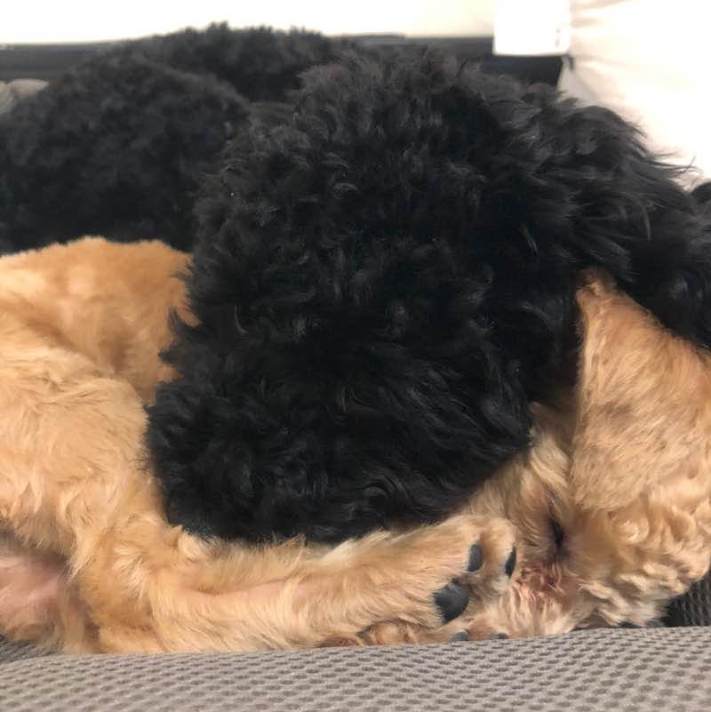 婕丶璇丶維 post 2