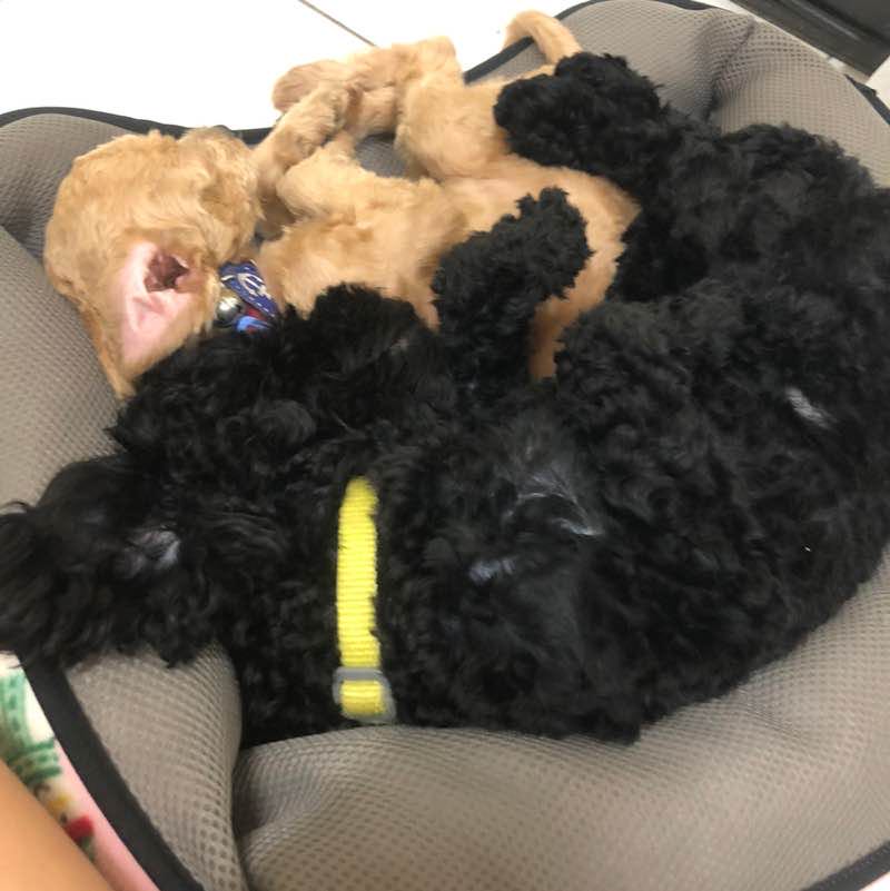 婕丶璇丶維 post 1