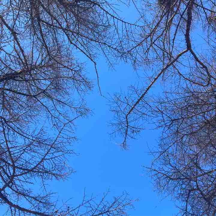 瑜伽更好的自己 post 1