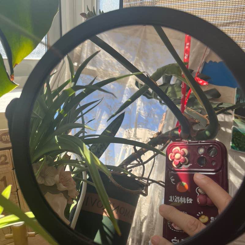 瑜伽更好的自己 post 1