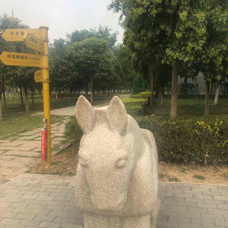 悠闲的马 post 2