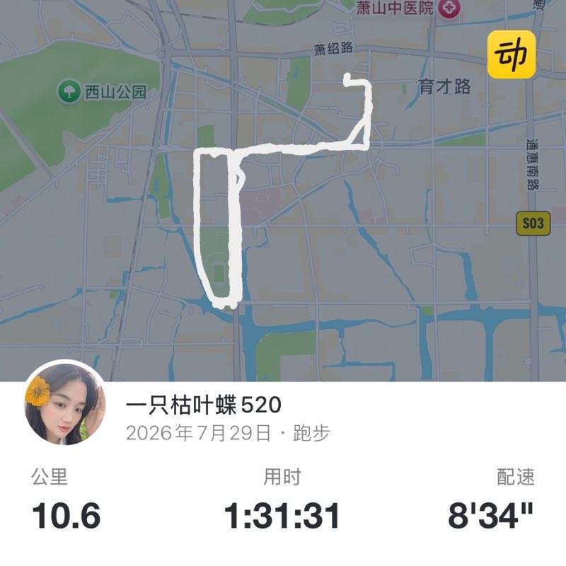 一只枯叶蝶520 post 1
