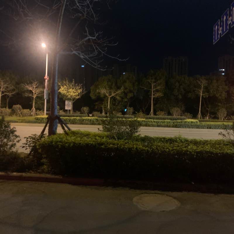 ＿Yang post 2