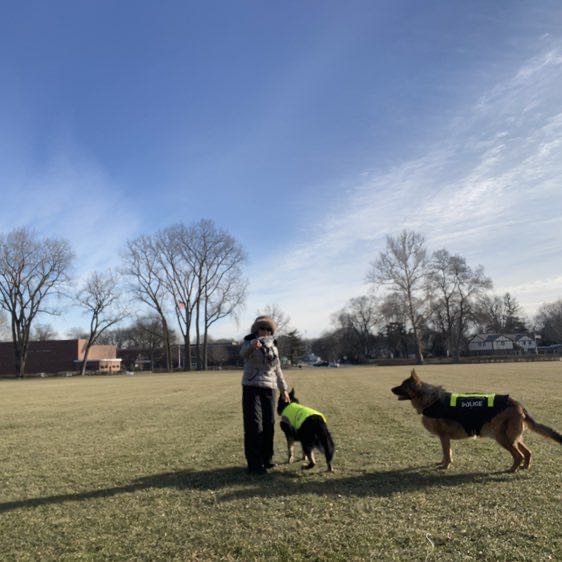 小舟（Jade) post 2