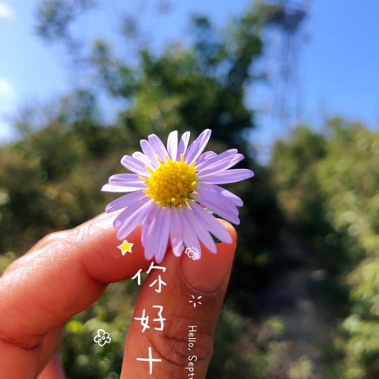 云中小猪 post 2