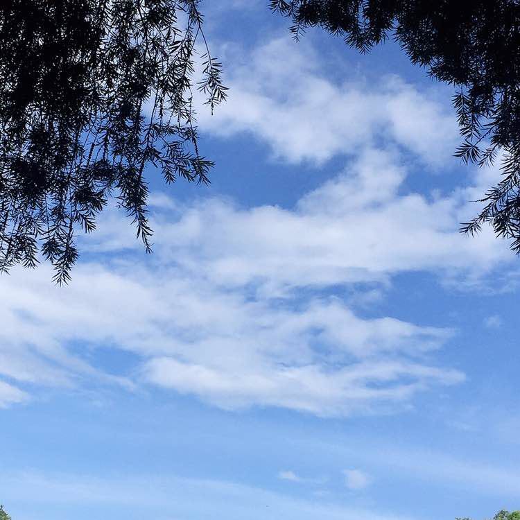 惠明 post 1