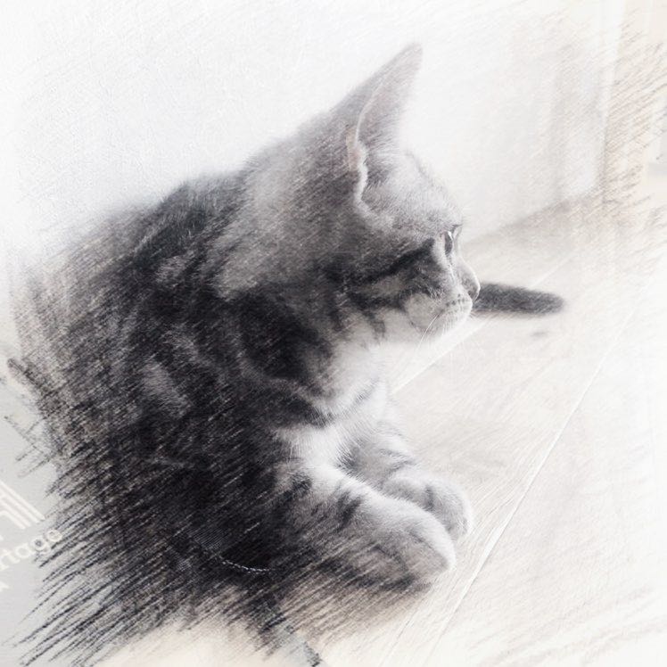 KIKI