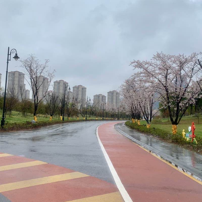 淼爸 post 2
