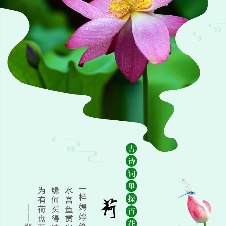 海风 post 1