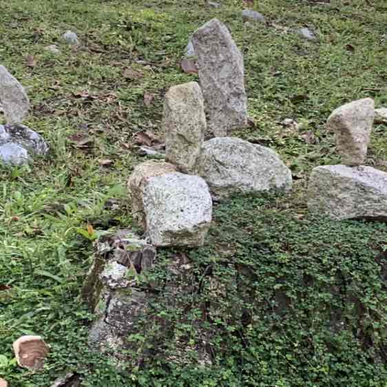 Wing’s  post 3