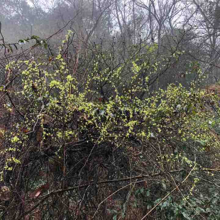 远离尘嚣 post 3