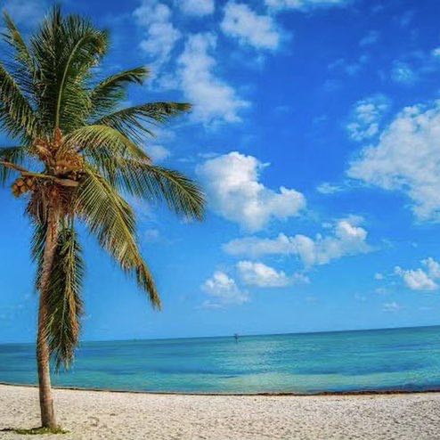 CYD Sport 🏓 post 1