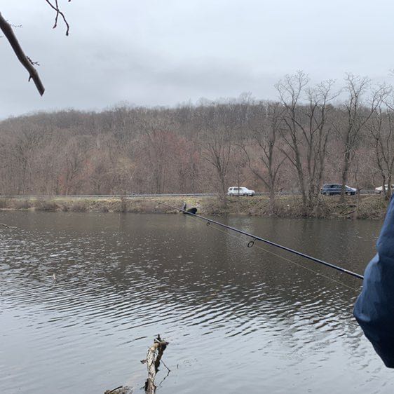 CYD Sport 🏓 post 2