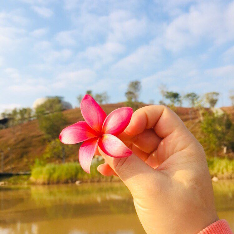 ✨翩✨ post 1