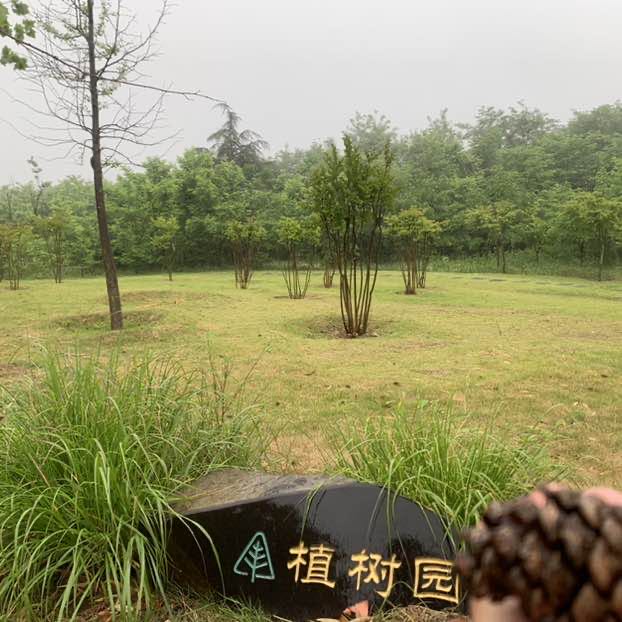 早起的懒虫 post 1