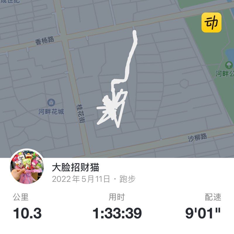 大脸招财猫 post 1