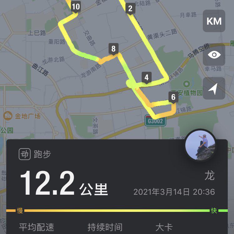 龙 post 2