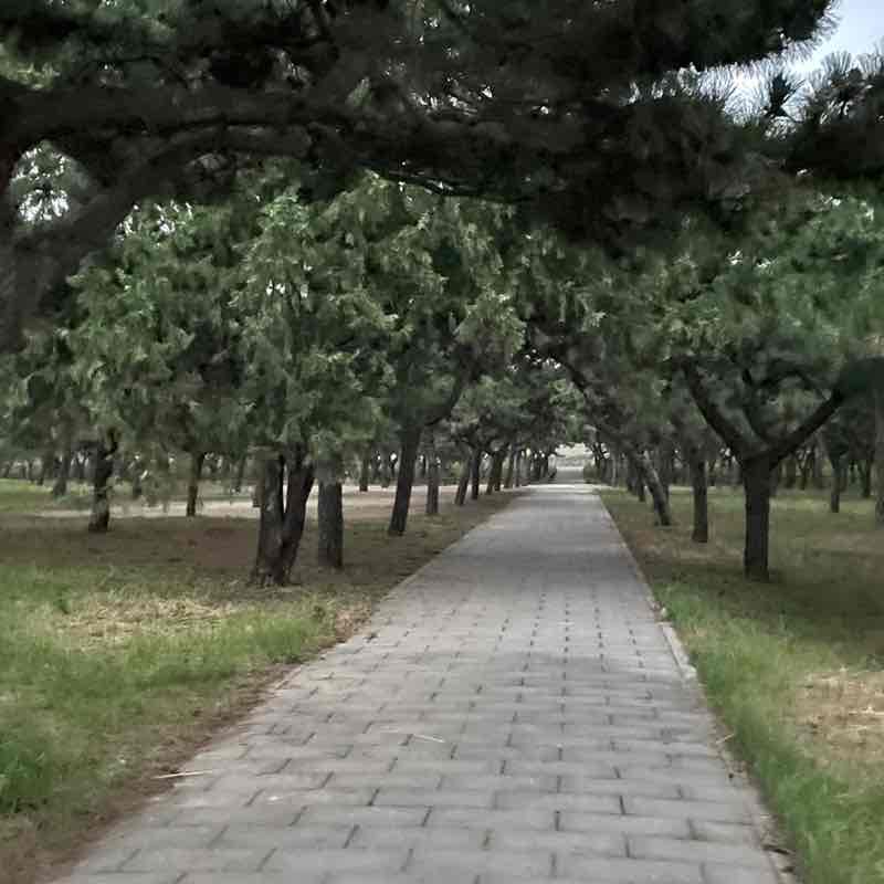欢颜 post 2