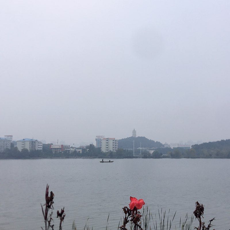 运动天使 post 1