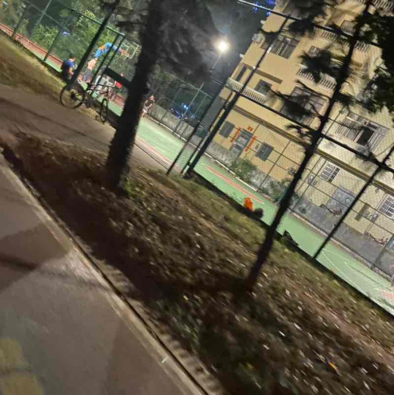 小情ゞ歌 post 2