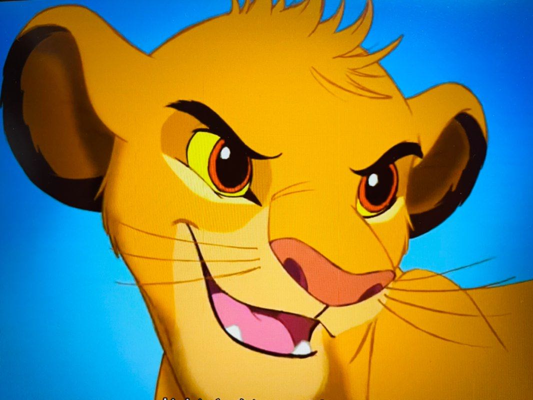 Wildcat