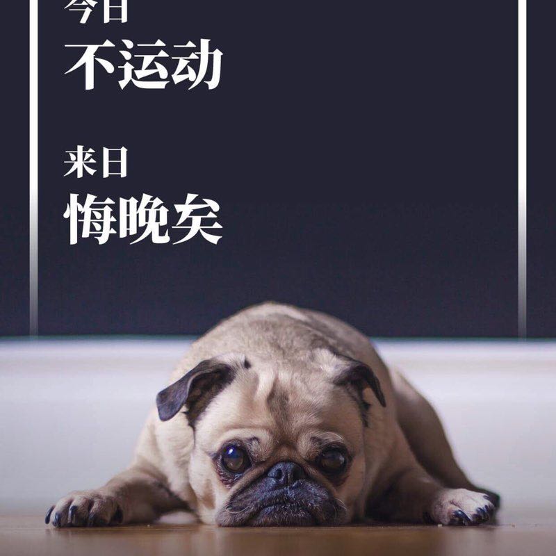 伪、装 post 1