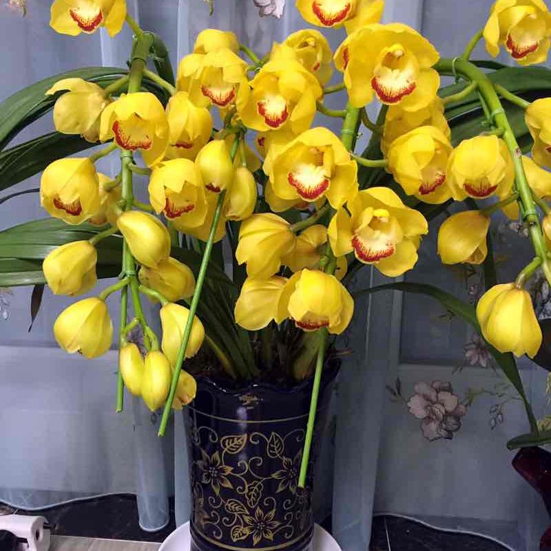 飘舞的雪花 post 2