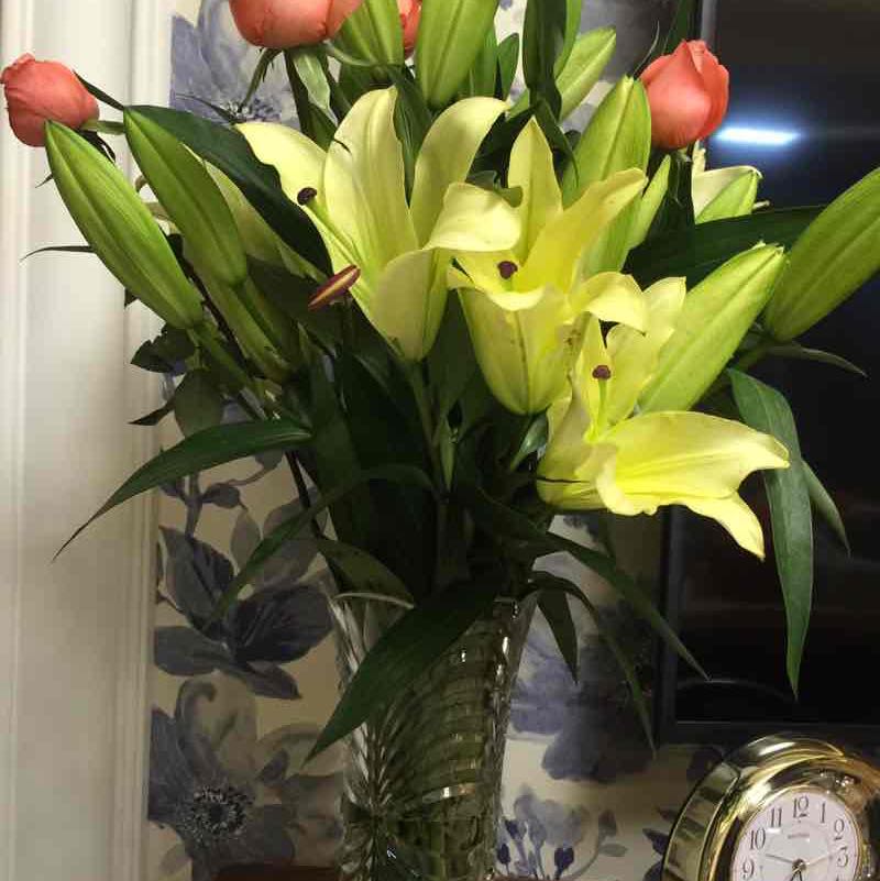 飘舞的雪花 post 1