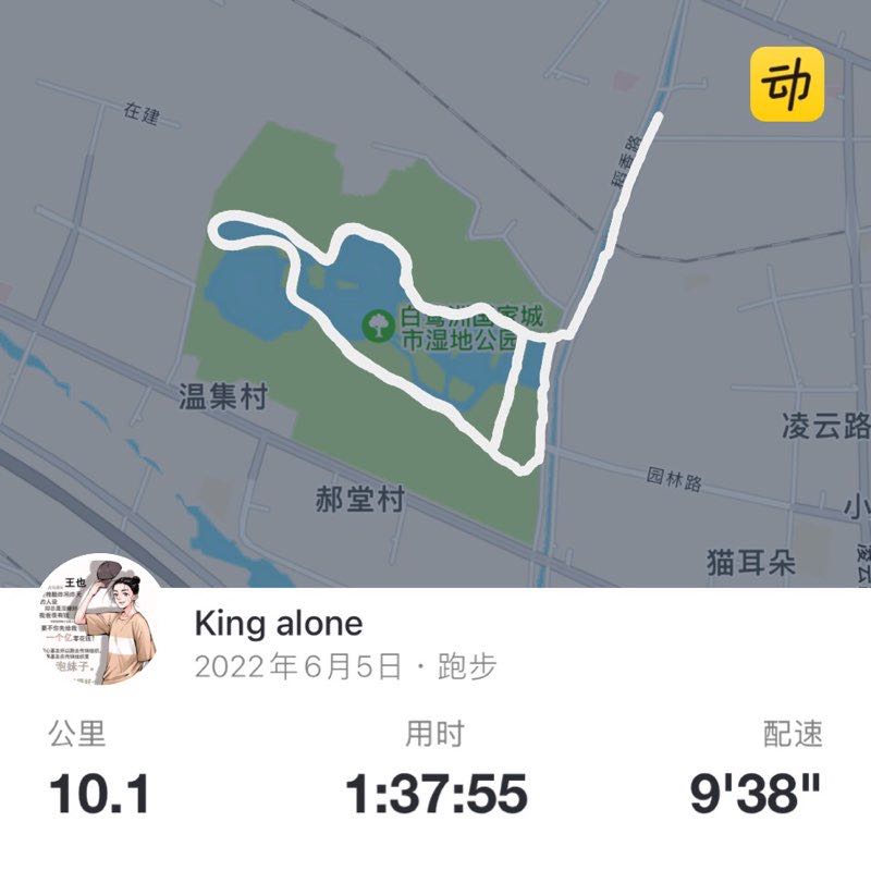 King alone post 2