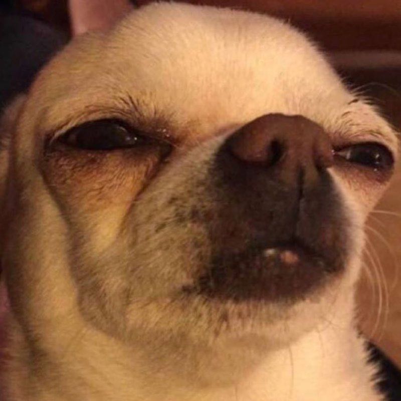 小安打起精神来啊