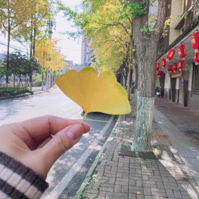 💋守望💋幸福💋 post 2