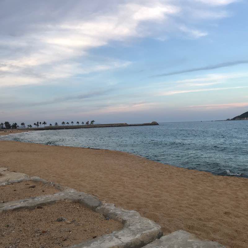 一只迷路的尾鲁 post 2