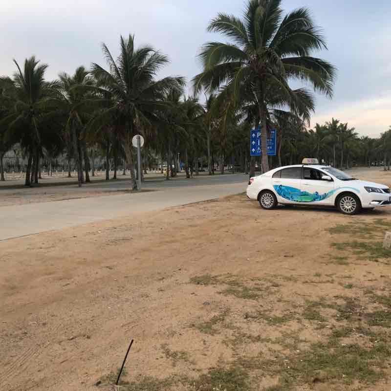 一只迷路的尾鲁 post 1