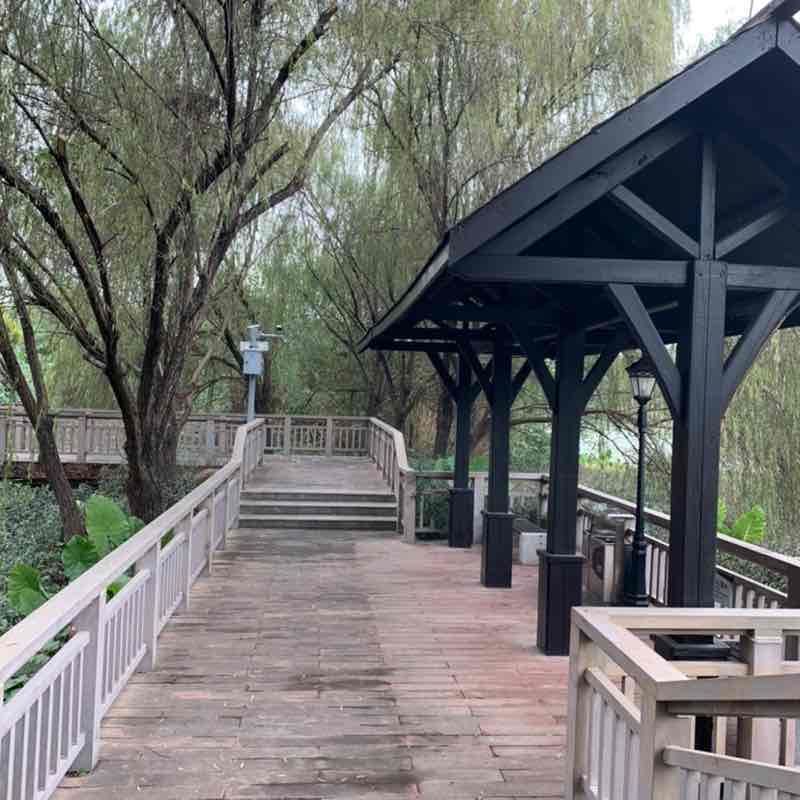 华平🇨🇳 post 2