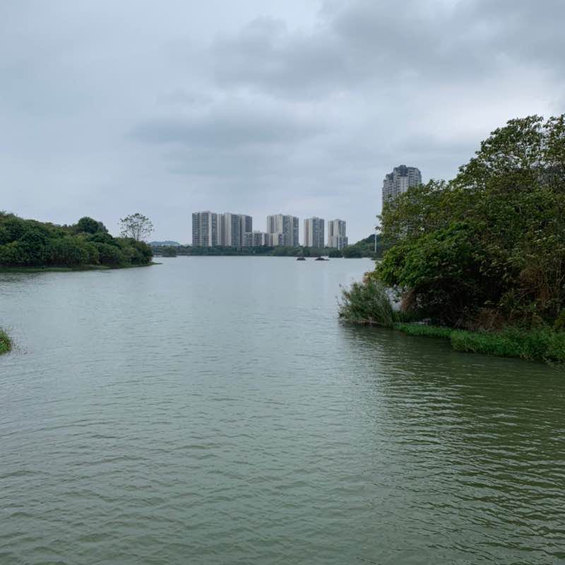 华平🇨🇳 post 3