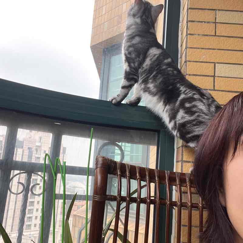 Meggie(麦琪) post 3