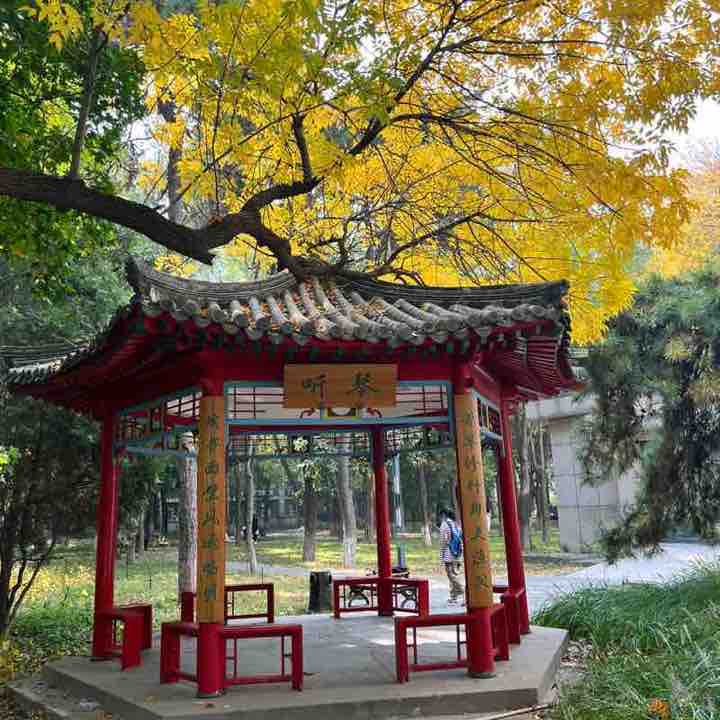 Meggie(麦琪) post 3