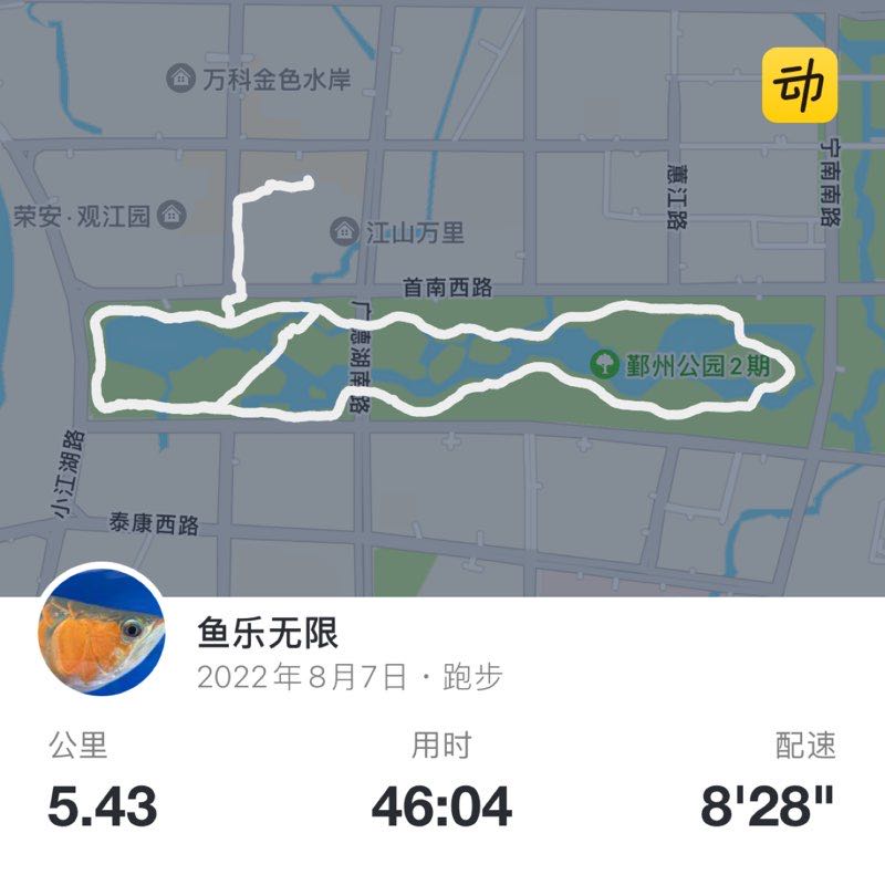鱼乐无限 post 1