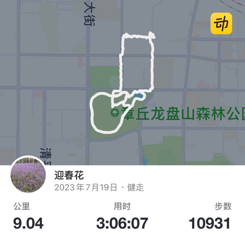 迎春花 post 1
