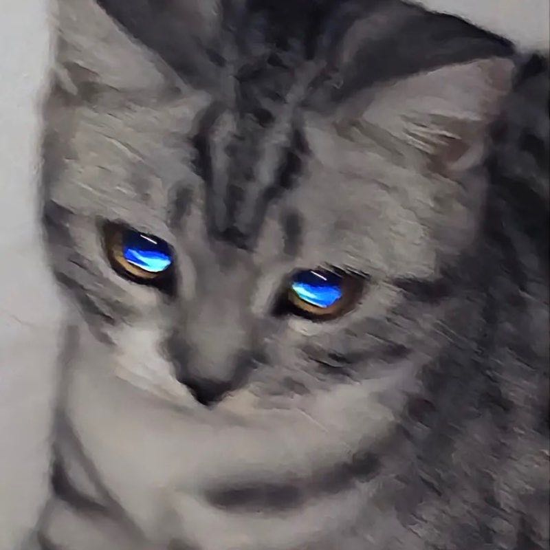 1011