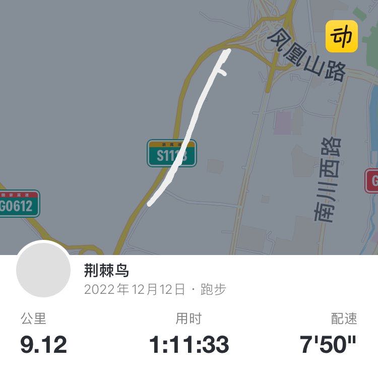 荆棘鸟 post 1