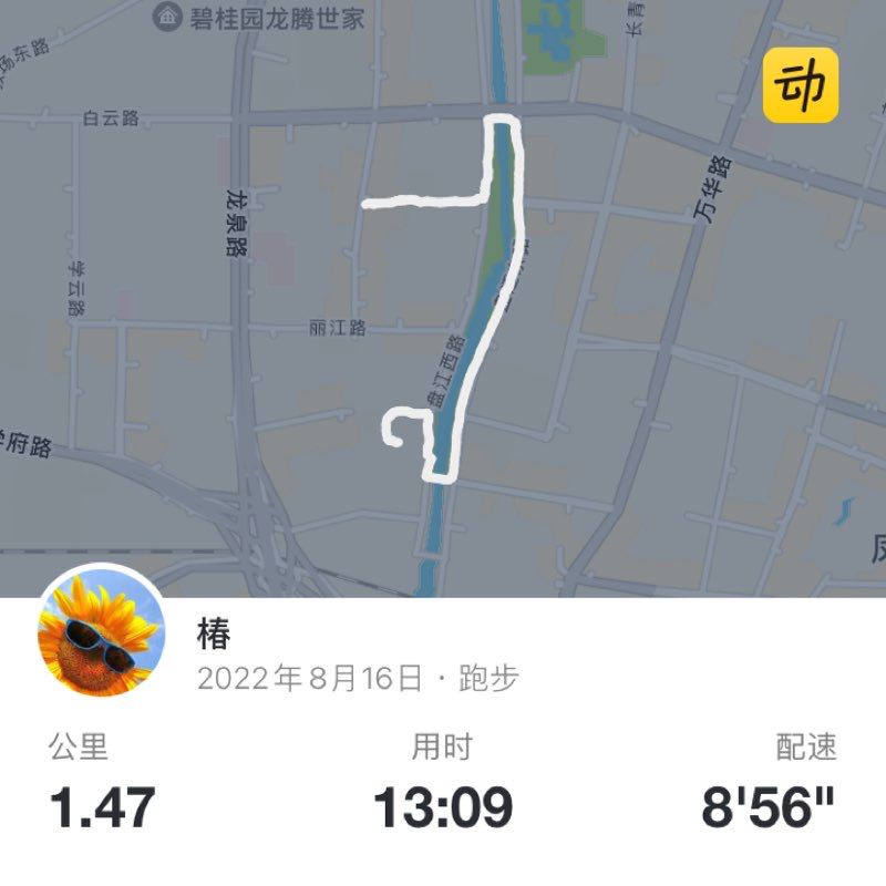 椿 post 1