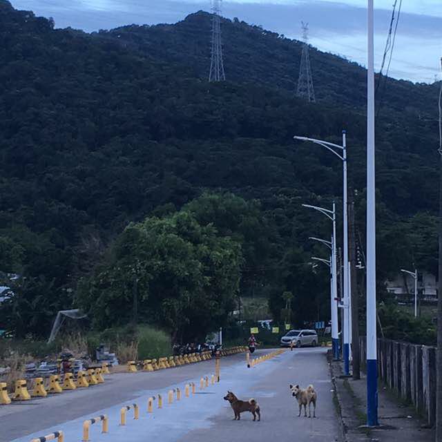 山野相见欢 post 2