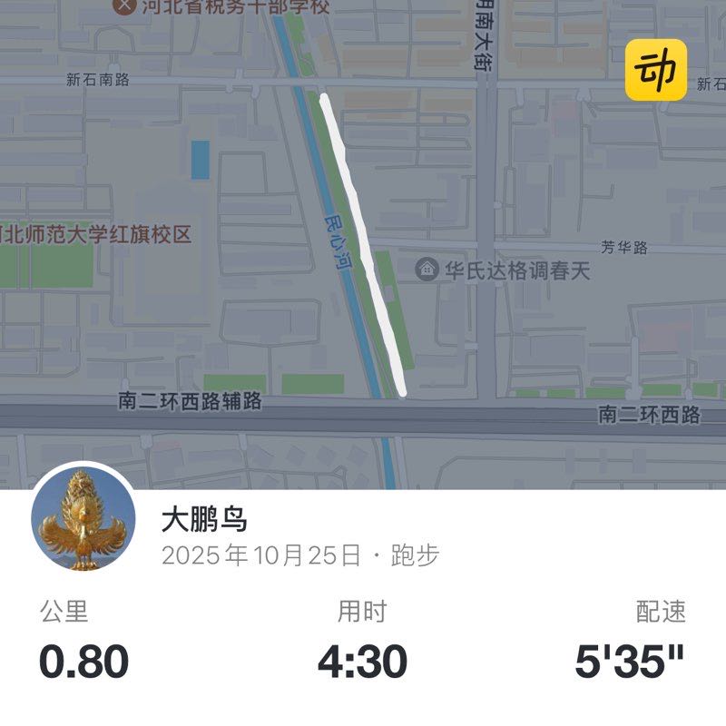 大鹏鸟 post 1