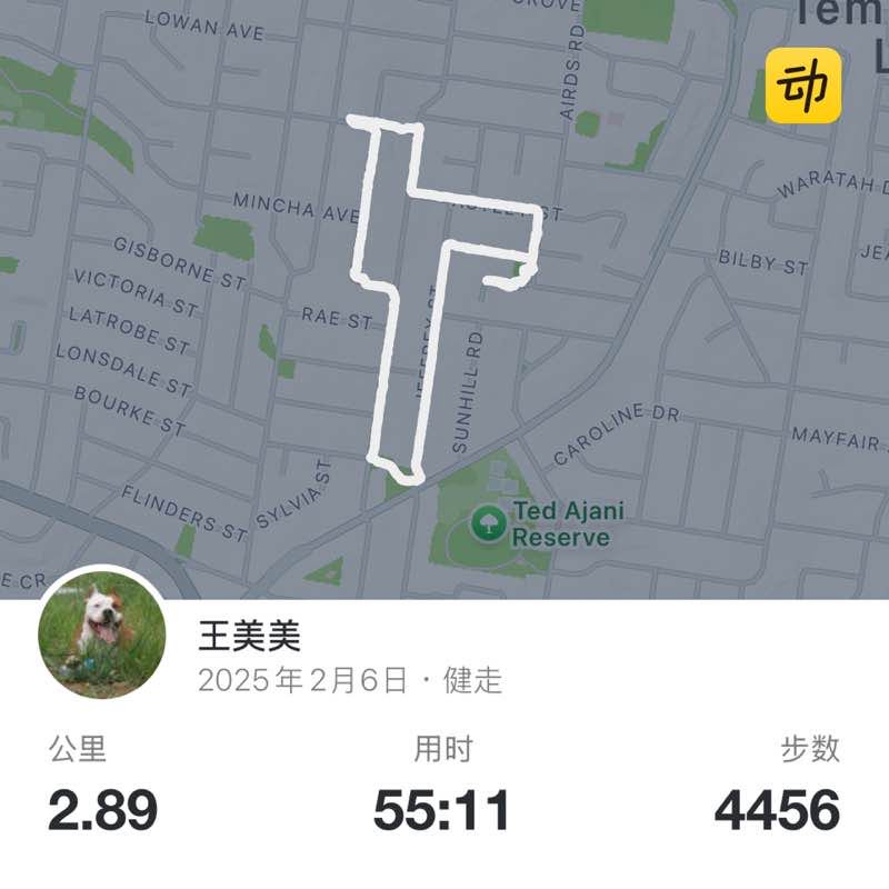 王美美 post 1