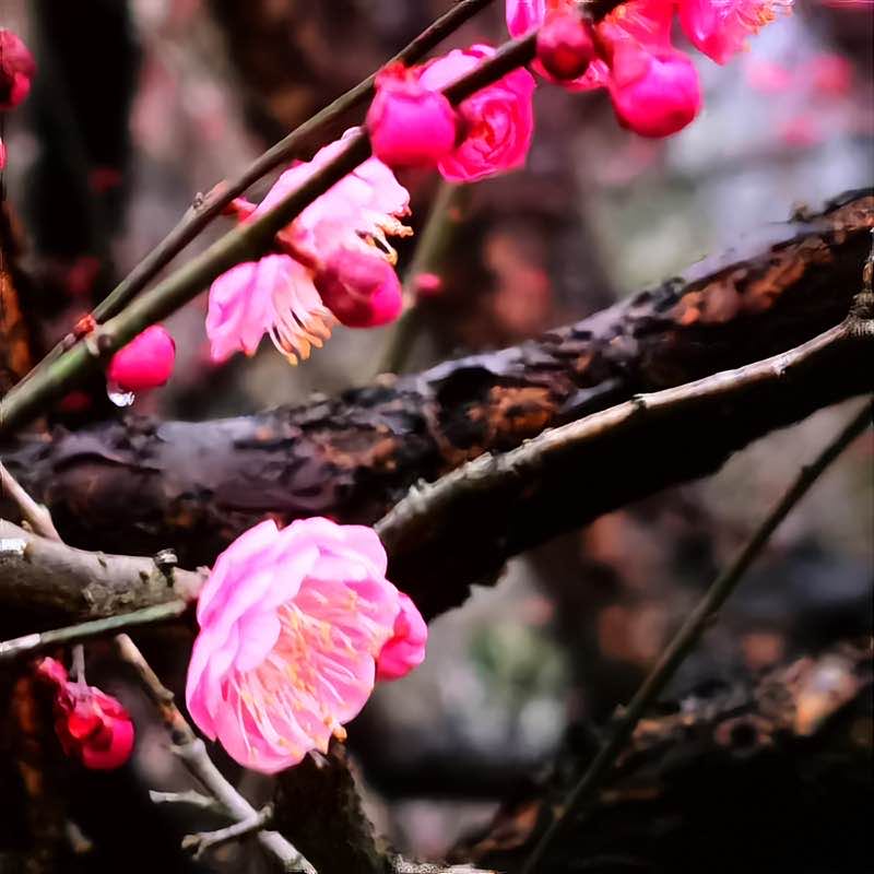潘政 post 2