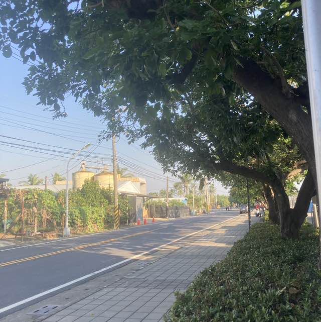 Li Li post 2