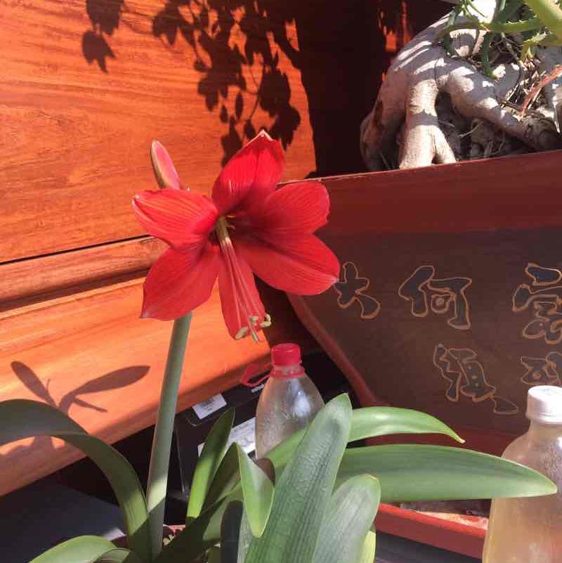 刘爱红 post 1